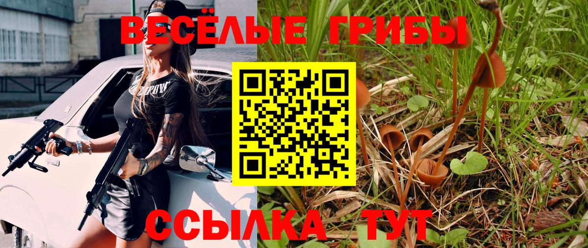 Галлюциногенные грибы GOLDEN TEACHER Шали