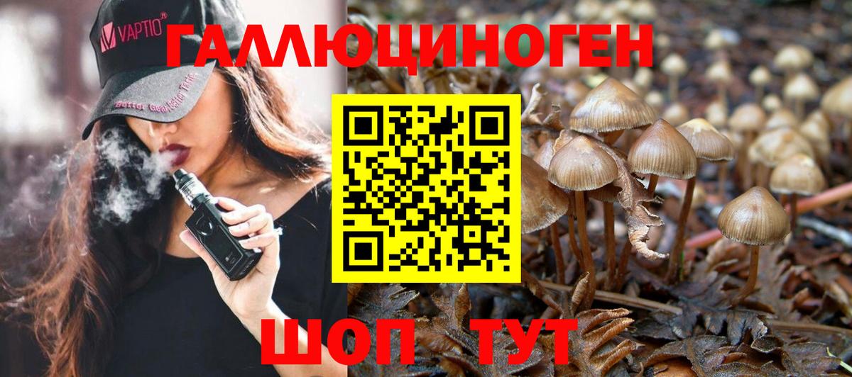Псилоцибиновые грибы Cubensis  Вход с VPN  Псилоцибиновые грибы MAGIC MUSHROOMS  Шали 